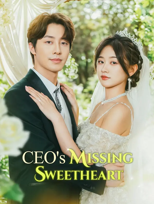 CEO's Missing Sweetheart(Dubbed)