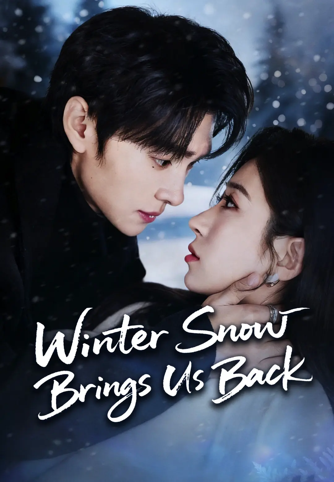 Winter Snow Brings Us Back
