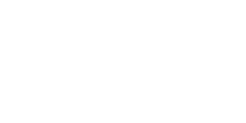 Partner CEO