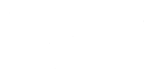 Anjing saingan cinta