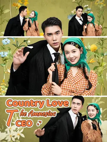 Country Love: The Amnesiac CEO