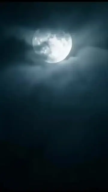 Mate Baru di Kehidupan Kedua