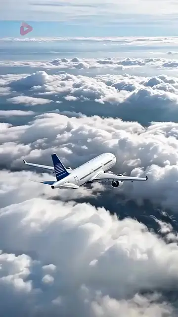 Di Atas Awan, Di Bawah Pengkhianatan