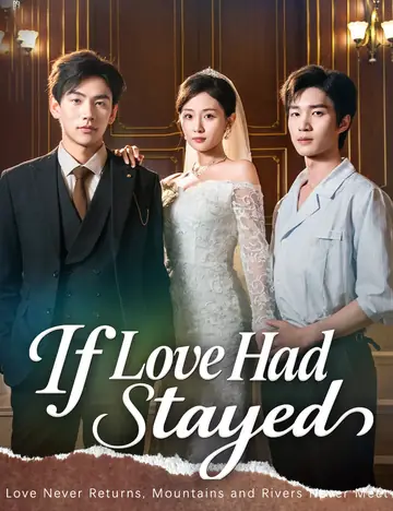 If Love Had Stayed - Billionaire Short Drama | Melolo