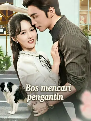 Bos mencari pengantin