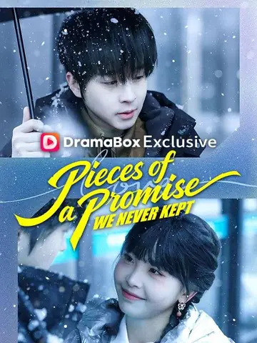 Pieces of a Promise We Never Kept