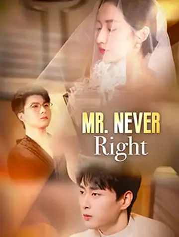 Mr. Never Right
